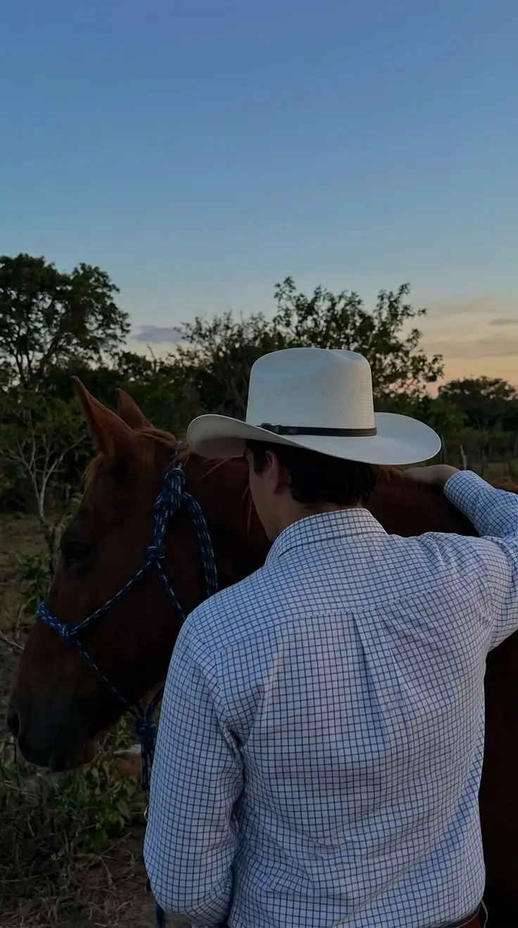 Fotografía 4 de la galería de Jorshua
